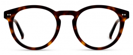 Billy optical frame in the colour Auburn Tortoise displayed in front angle view.