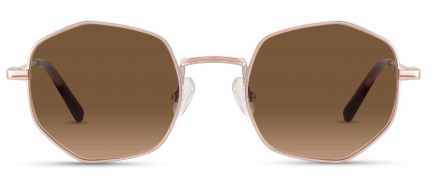 Kane sunglasses frame in the colour Rose Gold displayed in front angle view.