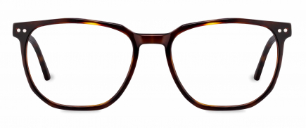 Parker optical frame in the colour Auburn Tortoise displayed in front angle view.