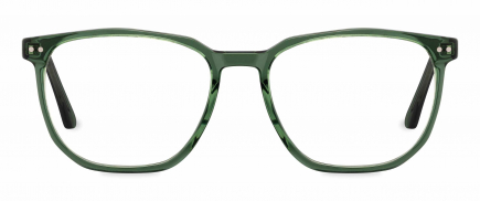 Parker optical frame in the colour Spearmint displayed in front angle view.