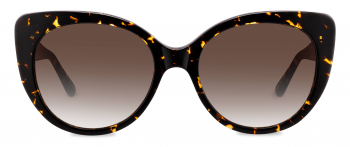 Aida sunglasses frame in the colour Gilded Tortoise displayed in front angle view.