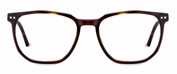 Parker optical frame in the colour Auburn Tortoise displayed in front angle view.