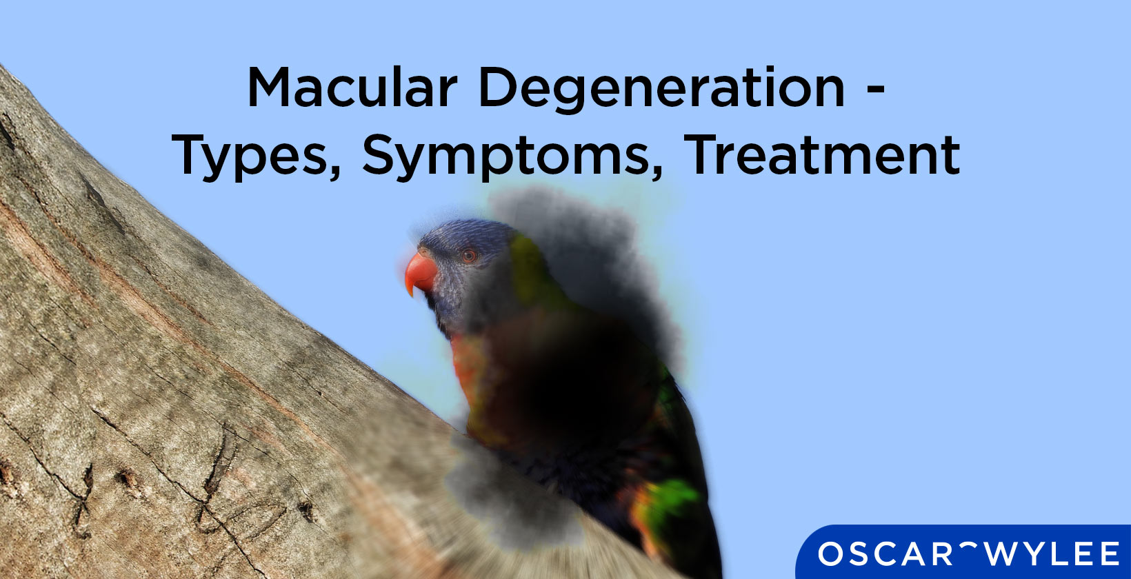 Macular Degeneration - Types, Symptoms, Treatment