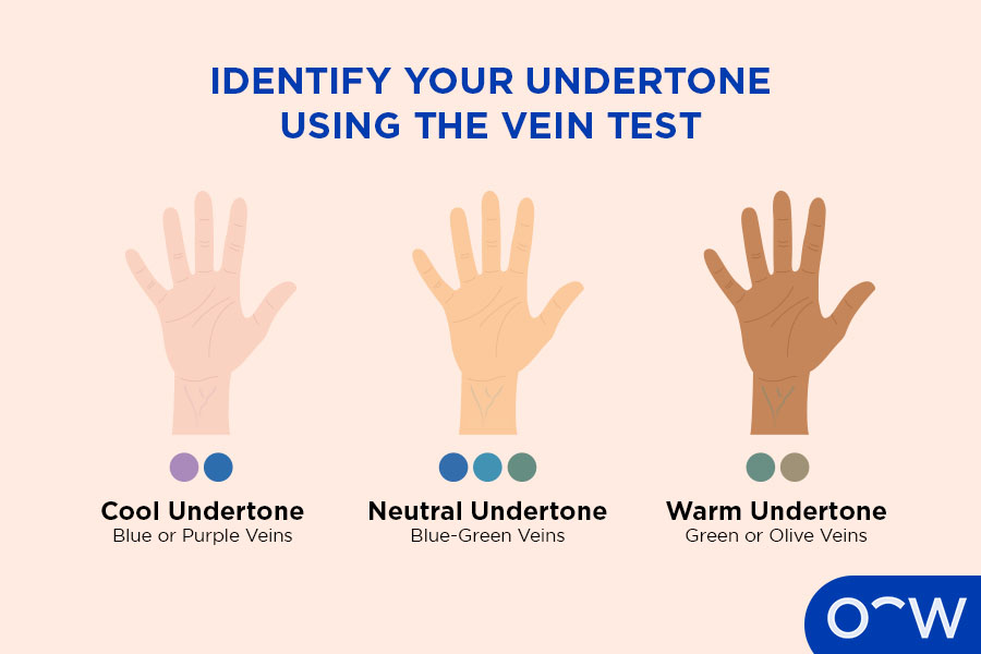 Graphic explaining what vein colours correspond with cool, warm, and neutral undertones