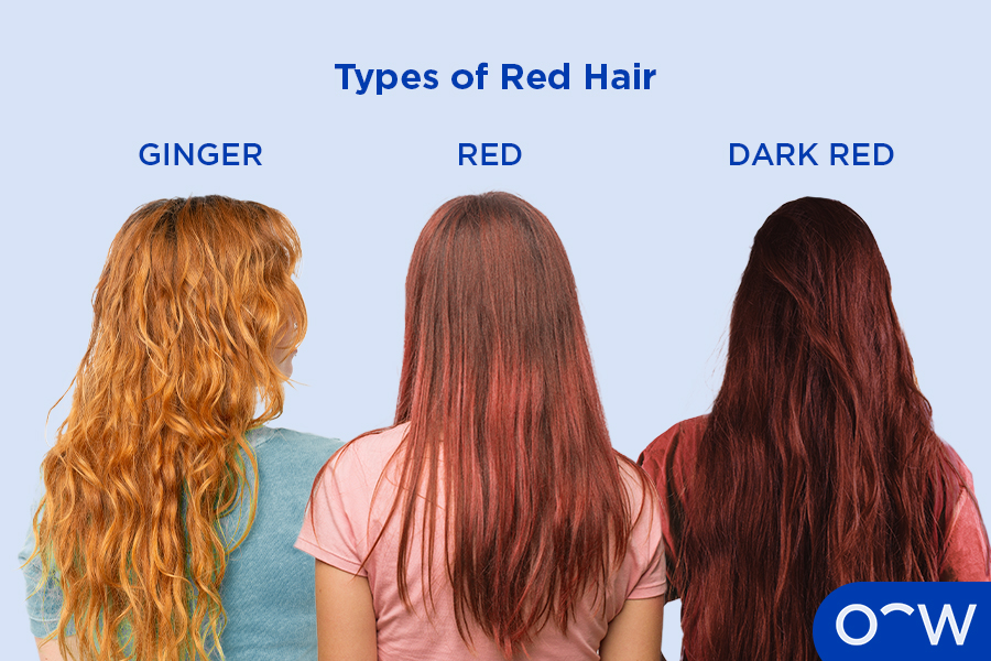 Three women facing away, one with ginger hair, one with red hair and one with dark red hair.
