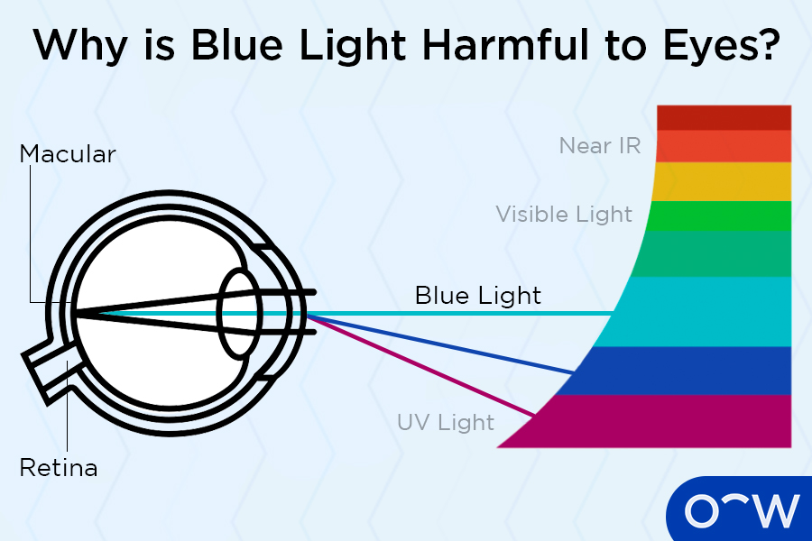 Why is Blue Light Harmful to Eyes