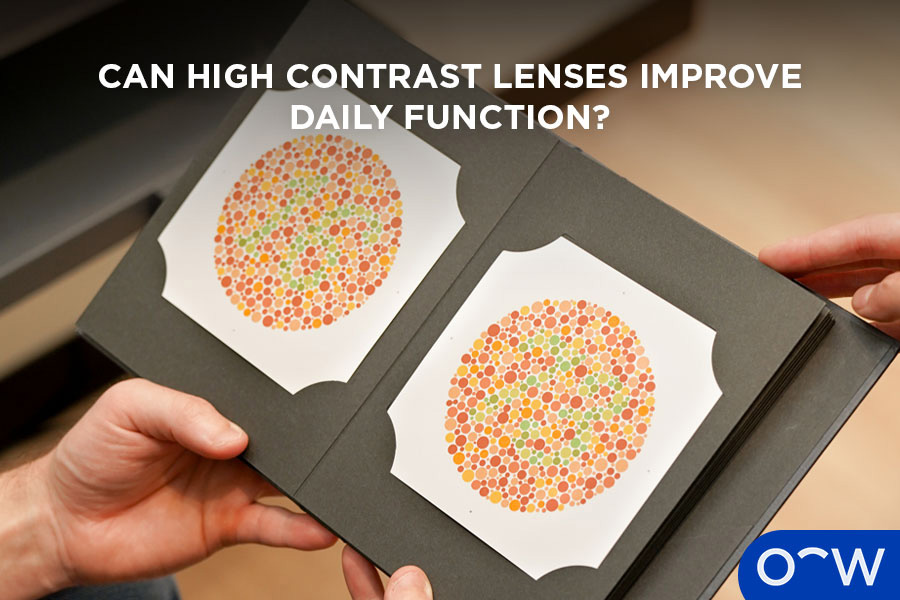 A photo of a plate being shown during a Ishihara test.