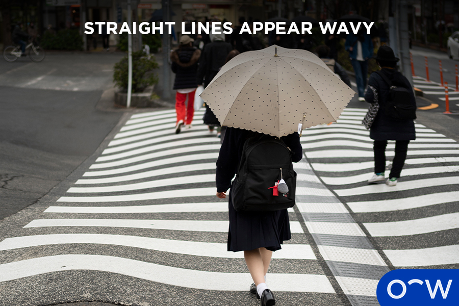 The straight lines on a pedestrian crossing looking wavy, as they would for someone who has age-related macular degeneration.