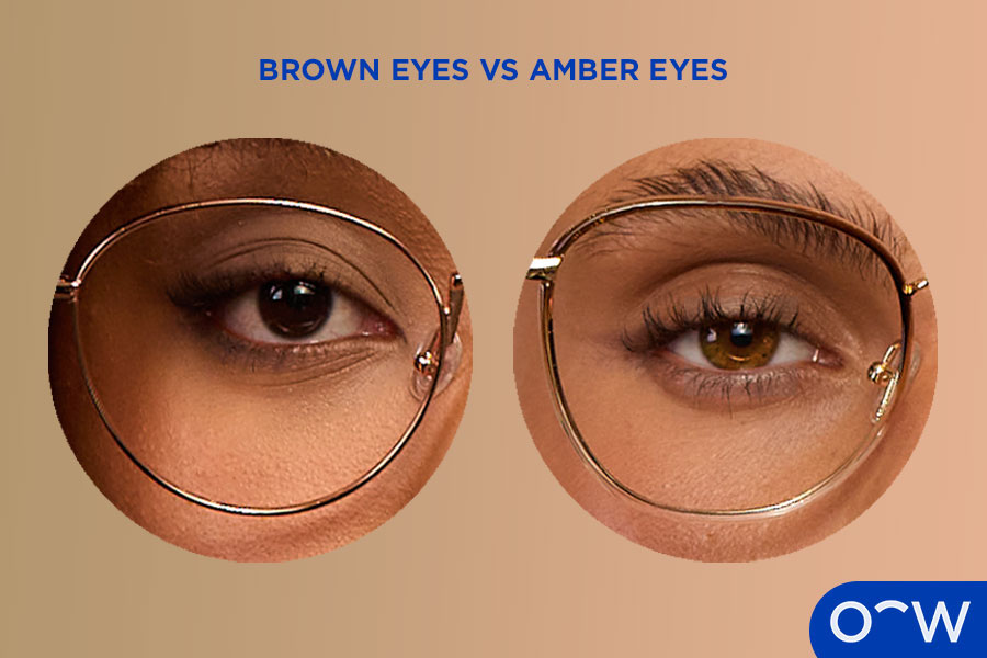 A close up of a brown and amber eye.