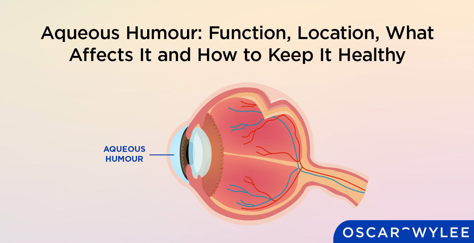 Aqueous Humour