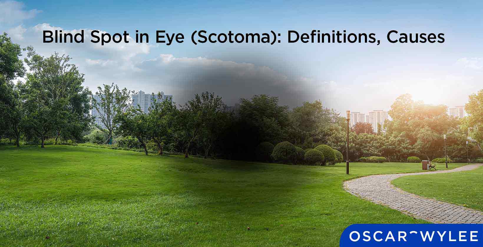 Blind Spot in Eye (Scotoma): Definition, Causes