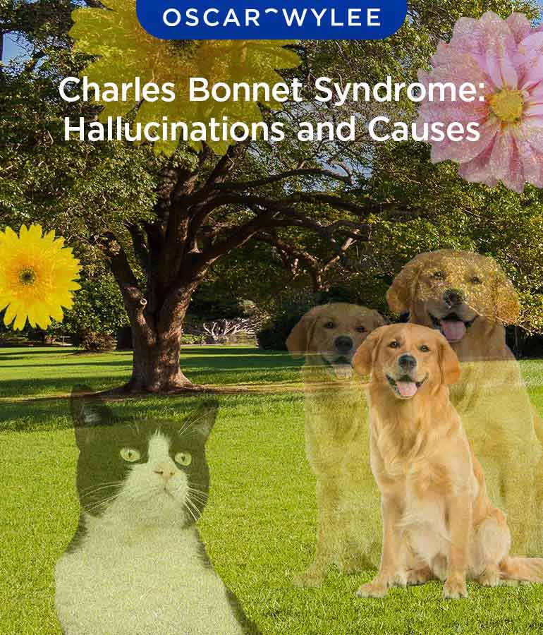 Charles Bonnet Syndrome: Hallucinations and Causes