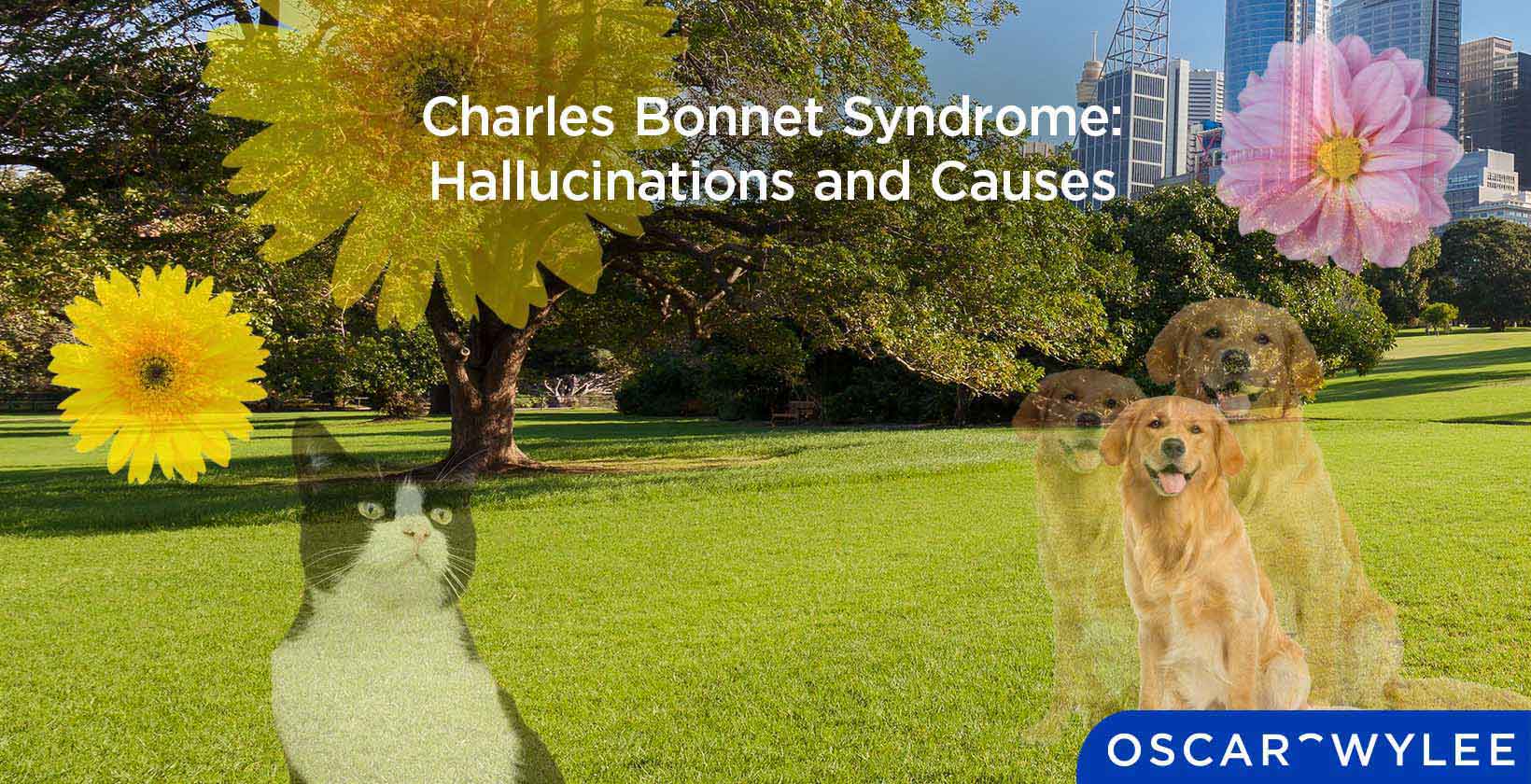 Charles Bonnet Syndrome: Hallucinations and Causes
