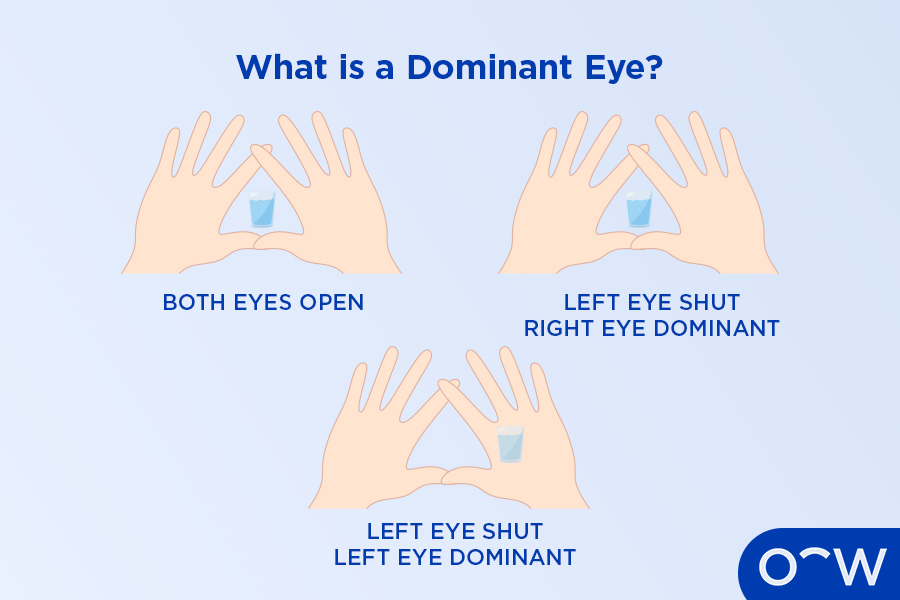 A graphic showing what it looks like to have a dominant left eye,
with an image disappearing behind someones left hand during a Miles
Test.