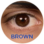 Brown Eye colour
