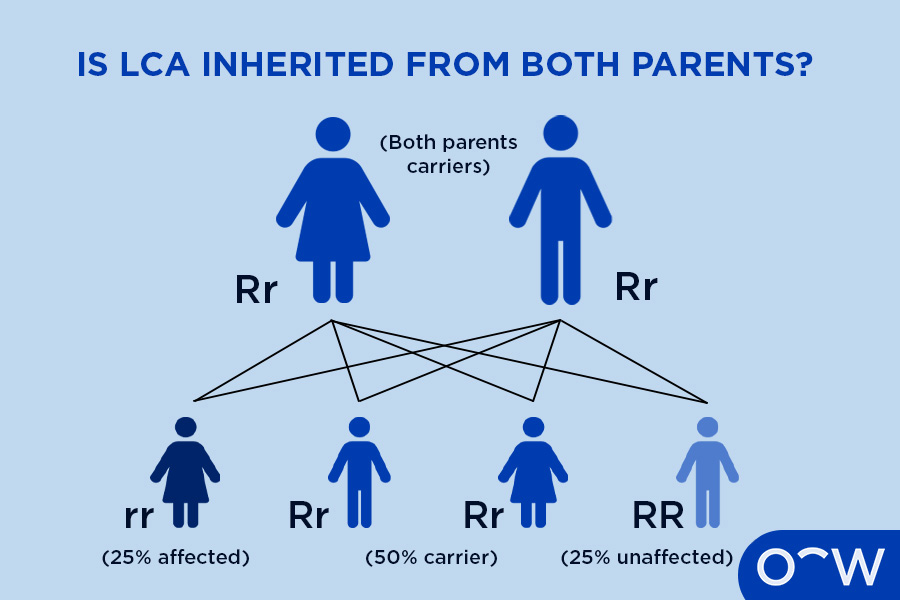 Diagram showing how both parents can be LCA carriers
