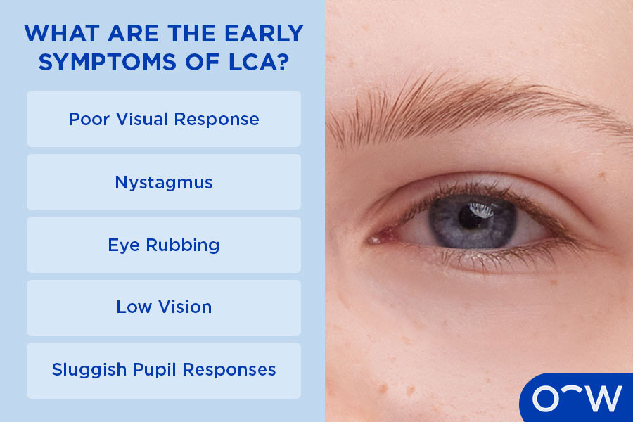 Infographic showing early symptoms of LCA