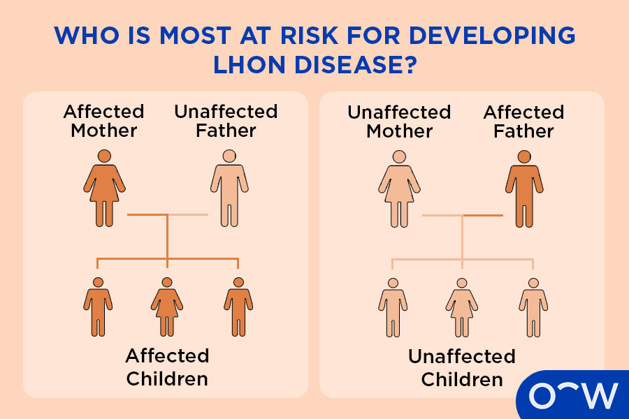 Icons of men and women in the form of a family tree showing how Leber Hereditary Optic Neuropathy is passed through the maternal line only.