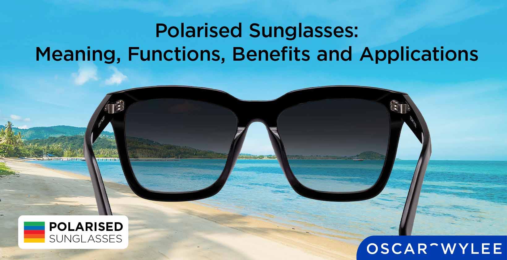 Polarised Lenses (Revision)