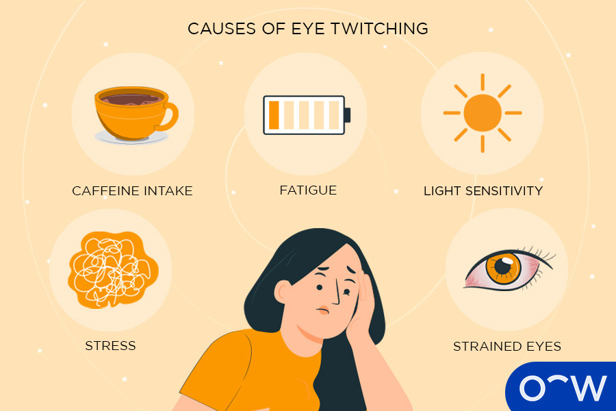 Infographic showing causes of eye twitching