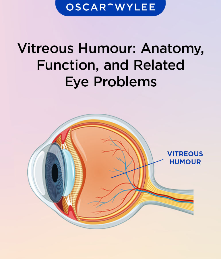 Vitreous Humour