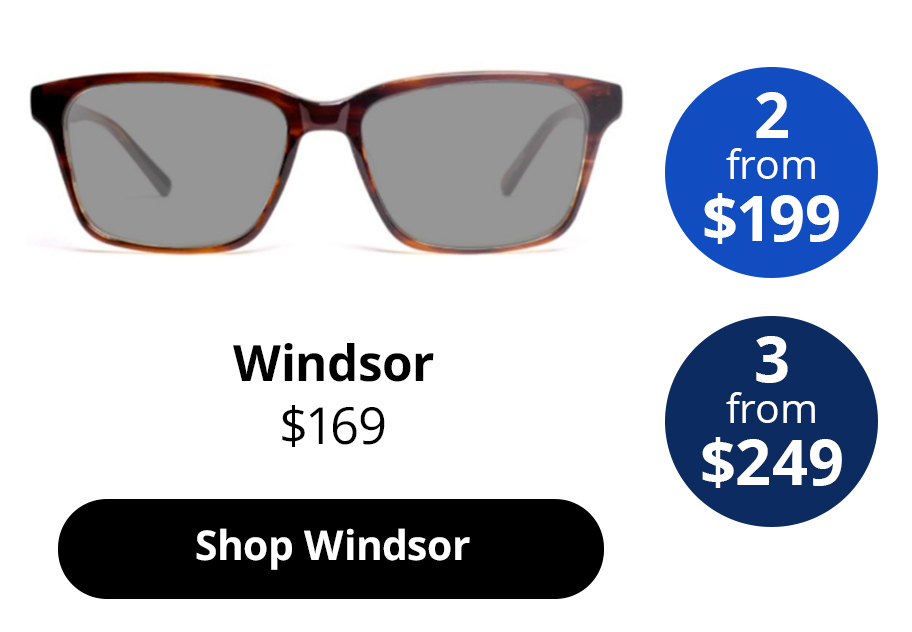 A photo of Windsor sunglasses in Striped Buckeye